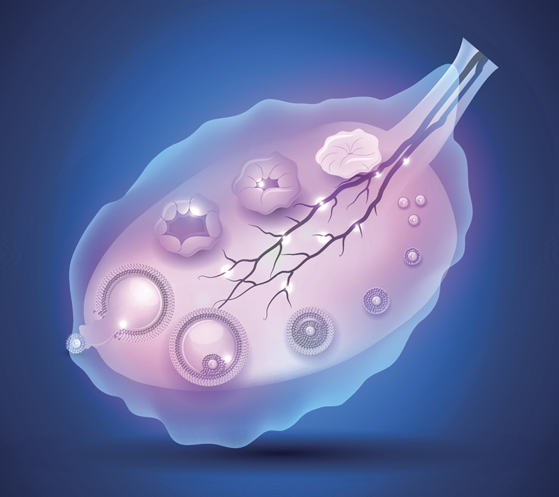 美国FSAC做试管婴儿需要准备多少钱？附试管费用一览